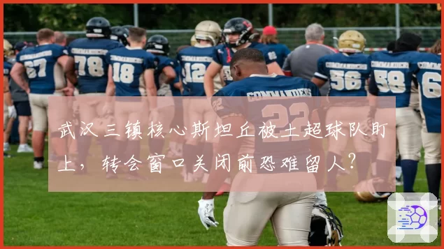 武汉三镇核心斯坦丘被土超球队盯上，转会窗口关闭前恐难留人？