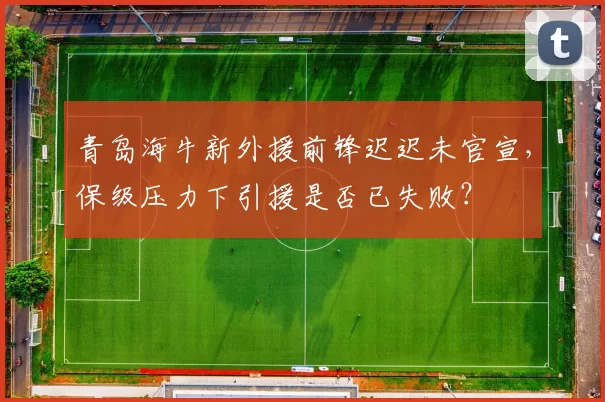 青岛海牛新外援前锋迟迟未官宣，保级压力下引援是否已失败？