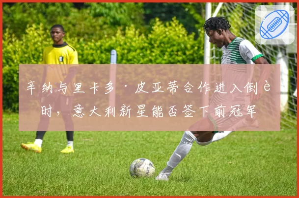 辛纳与里卡多·皮亚蒂合作进入倒计时，意大利新星能否签下前冠军教练瓦伊达？