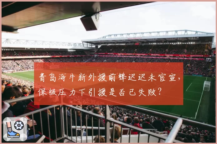 青岛海牛新外援前锋迟迟未官宣，保级压力下引援是否已失败？