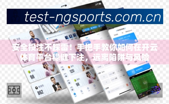 NG体育安全运营支持